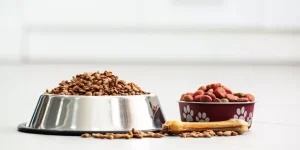 The Importance of High-Quality Dog Food Storage