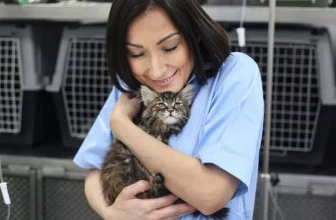 Caring for Small Animals in Different Seasons: Tips and Supplies