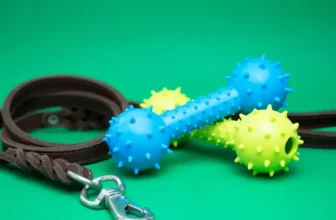 Eco-Friendly Innovations in Cat Supplies