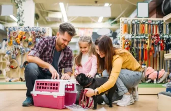 Top 10 Must-Have Supplies for Small Animal Care