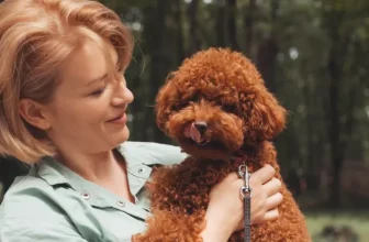 How to Manage Stress and Ensure Happiness for Your Small Animal