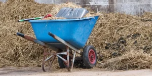 How Can You Make Mucking Stalls Easier With the Right Tools?