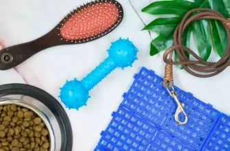Top 10 Cat Supplies Every Pet Parent Needs