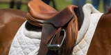 Best Practices for Cleaning and Conditioning Saddles