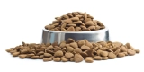 How Can You Identify High-Quality Dog Food?