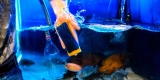 How Do You Properly Clean an Aquarium Without Harming Fish?