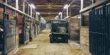 How Do You Properly Store Horse Feed to Keep It Fresh?