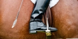 What Is the Purpose of Horse Boots, and When Should You Use Them?
