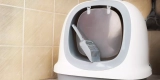 How Do Self-Cleaning Litter Boxes Improve Cat Hygiene?