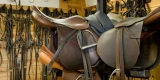 Tack Maintenance Tips for Long-Lasting Gear