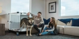 The Top Dog Crates for Home and Travel