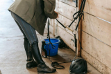 Why Is Regular Cleaning of Horse Tack Necessary?