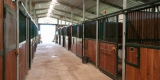 How Do You Create a Safe and Comfortable Stall Environment?