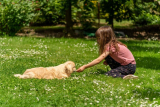 How Can You Help Your Pet Adjust to New Environments or Family Members?